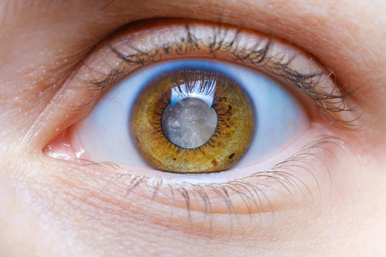 Close-up of a human eye with hazel iris and eyelashes.