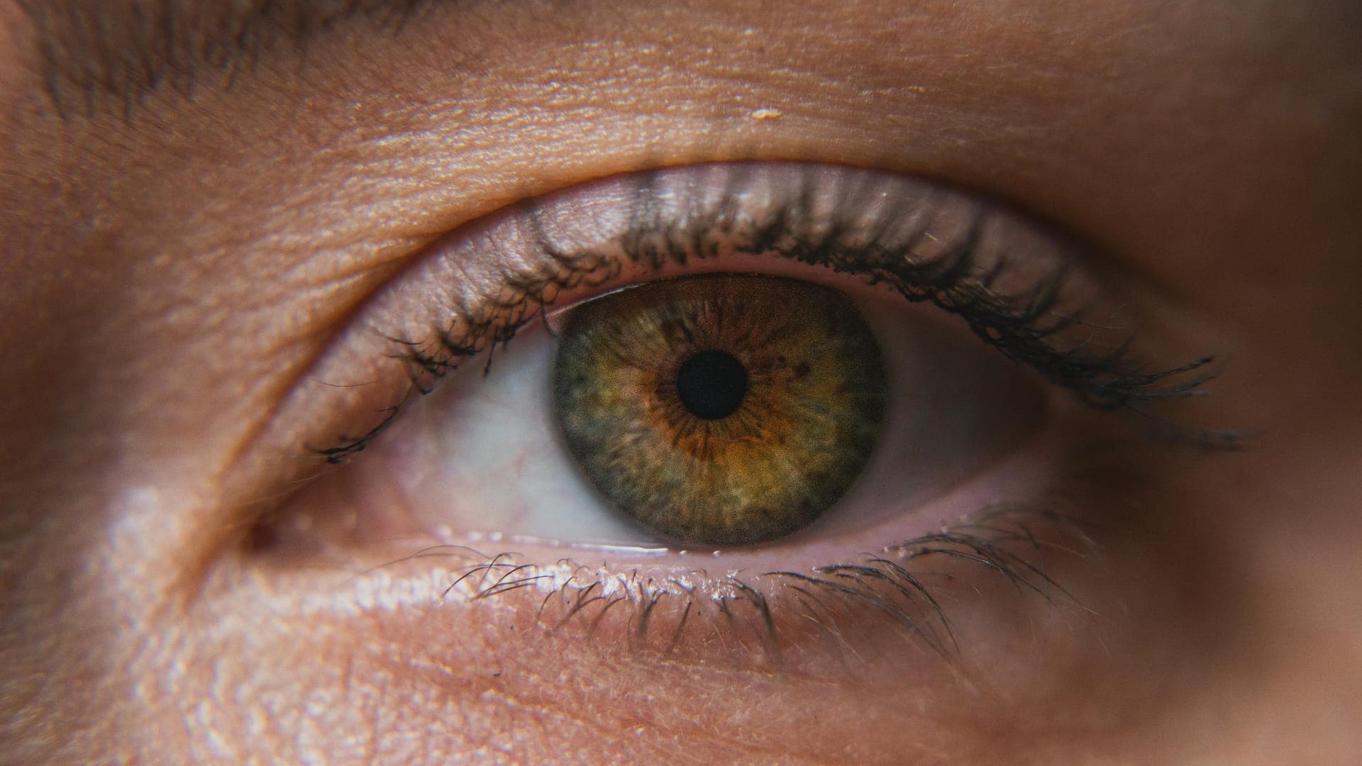 Close-up of a human eye with green and brown irises and long eyelashes.