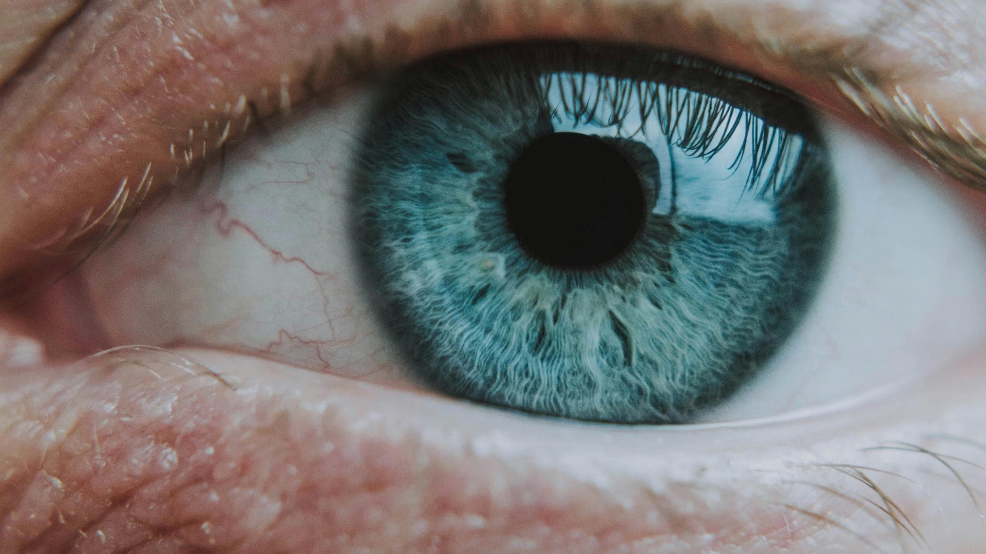 Close-up of a blue eye with visible eyelashes and skin texture.